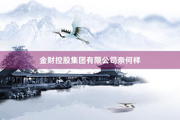 金财控股集团有限公司奈何样